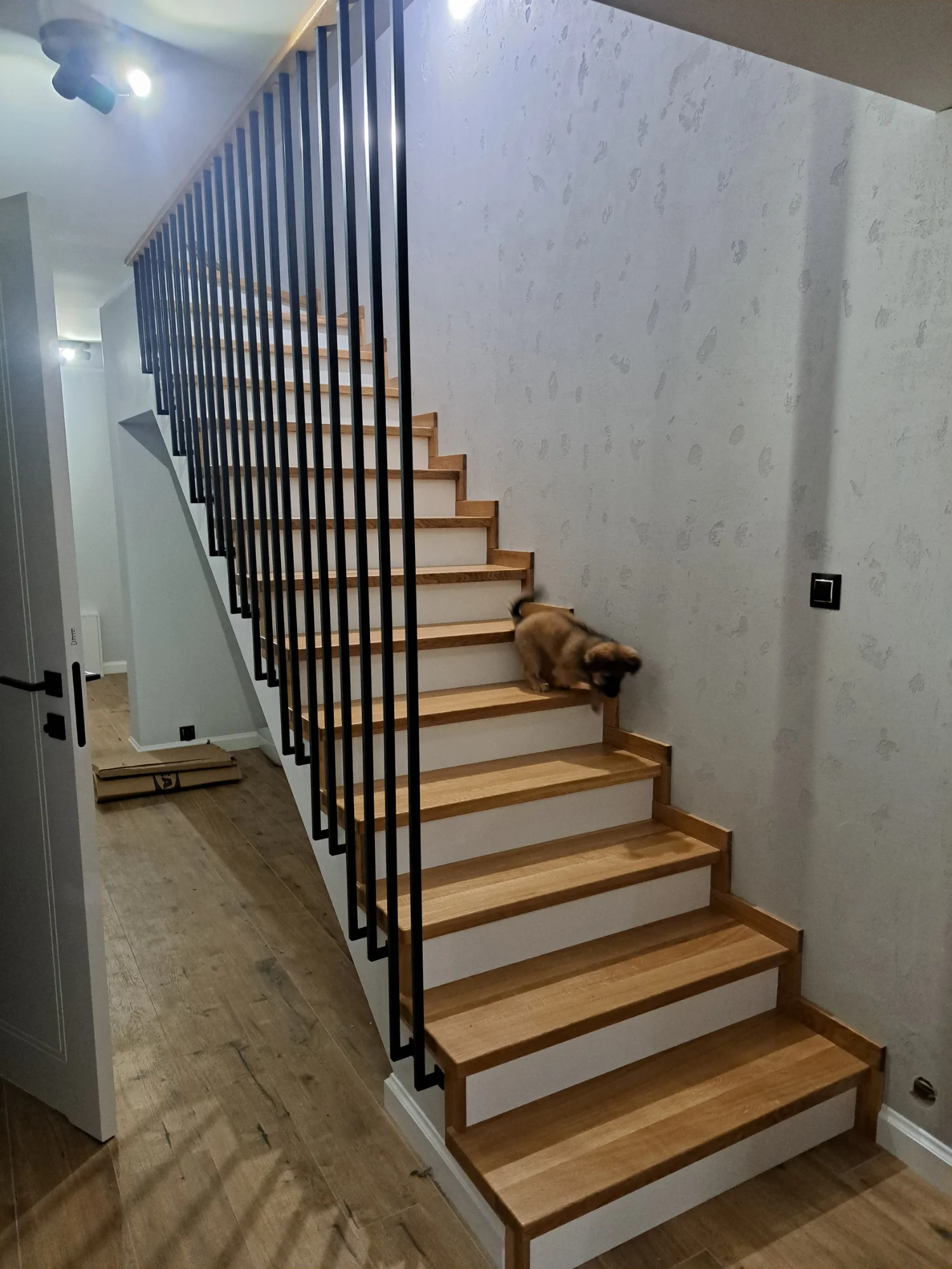 Schody dębowe zabiegowe na beton Gdańsk, widok z dołu na stopnie i białe podstopnice